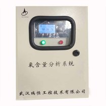 RHO-700D电渣炉氧含量分析仪 武汉瑞恒工控 化渣炉 电弧炉