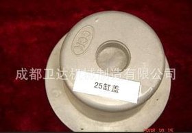 专业提供25铝压铸件加工 阀门系列铝合金铸件