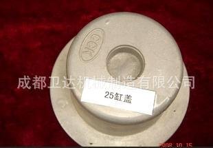 专业提供25铝压铸件加工 阀门系列铝合金铸件
