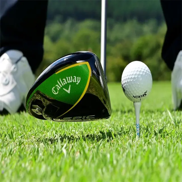 日本横滨高尔夫展2027JAPAN GOLF FAIR球场造型机.球场照明展示会