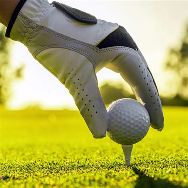 日本横滨高尔夫展2027JAPAN GOLF FAIR球场造型机.球场照明展示会